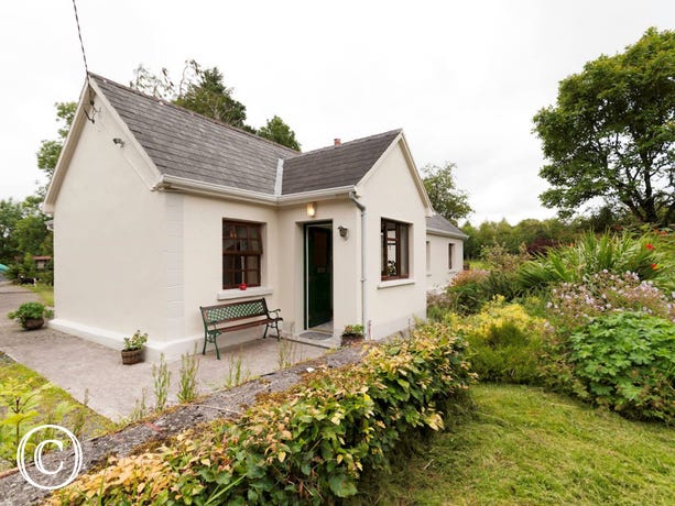 15381-01.jpg 15381-01.jpg